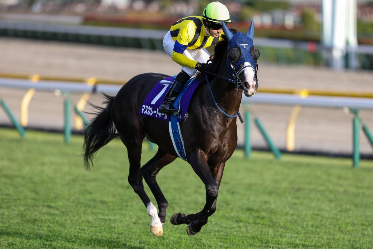 ルメール騎手、天皇賞秋制覇！ 