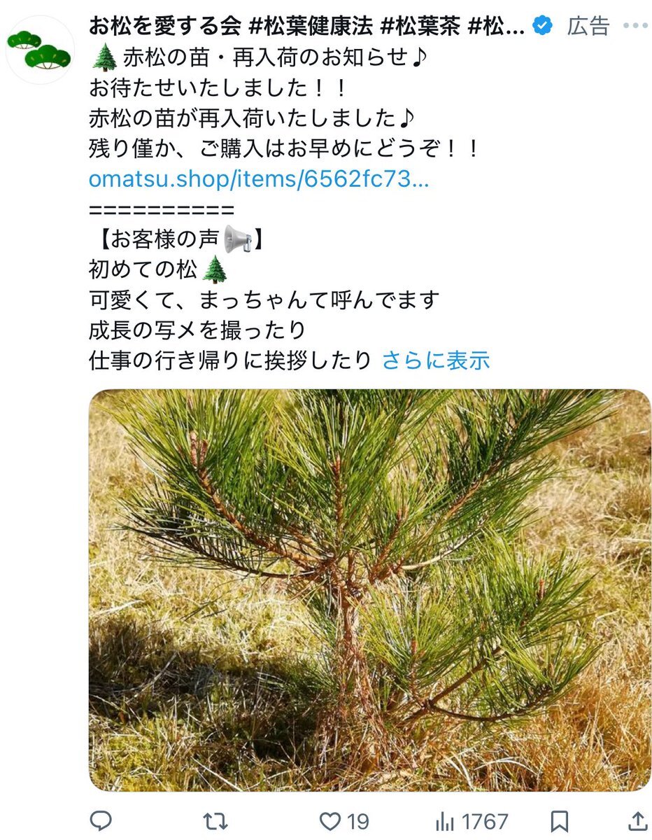 K*様 #ゆんの気まぐれオークション　（松松松) VS セミコンプ ぐっさんさん on X: 