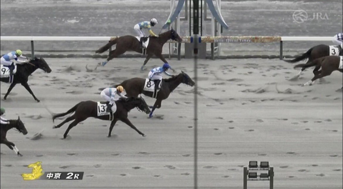 フォンメイリー、中京2Rで好走！ファン「安定した走り」と称賛