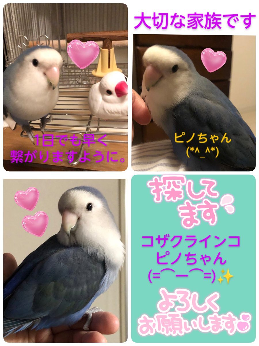 三木楽器 春のピアノセール 2023年3月25日(土)〜4月16日(日