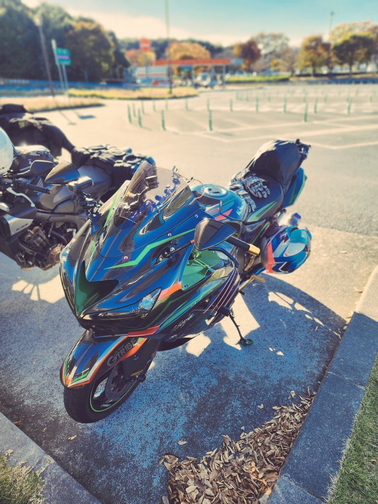 やばい どがー Buy Adidas 43einhalb x ZX 10000 'Joint Path' - GY5108 | GOAT