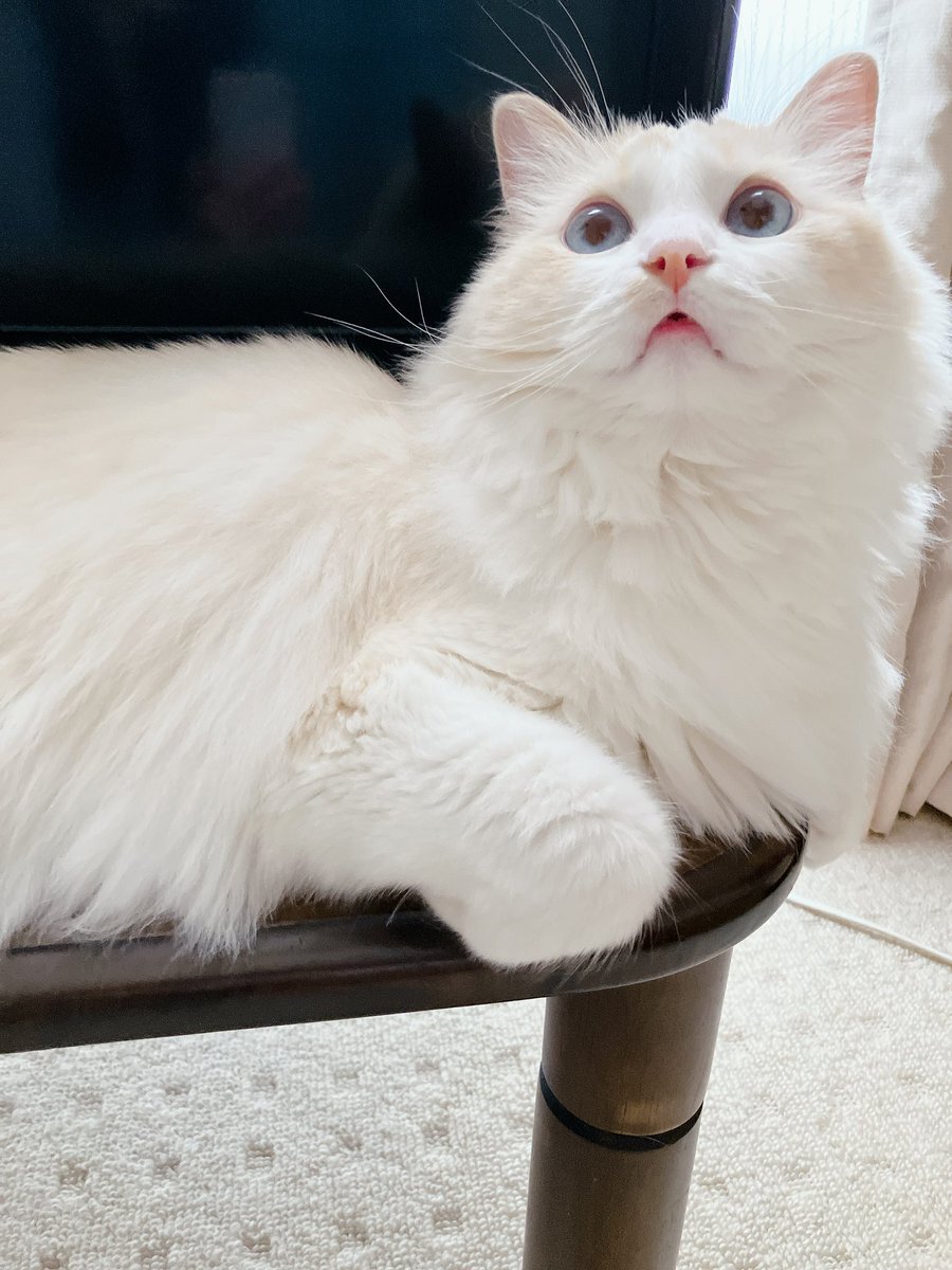 週末の過ごし方、SNSで話題に！