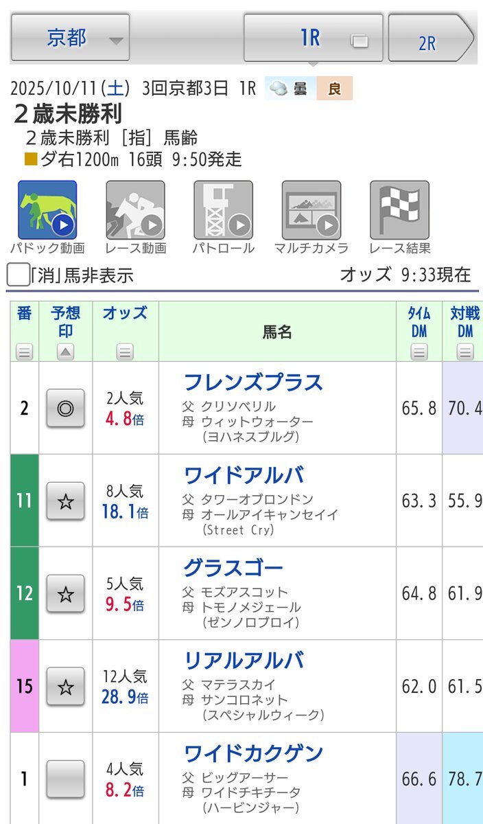 京都競馬！注目馬は誰だ？