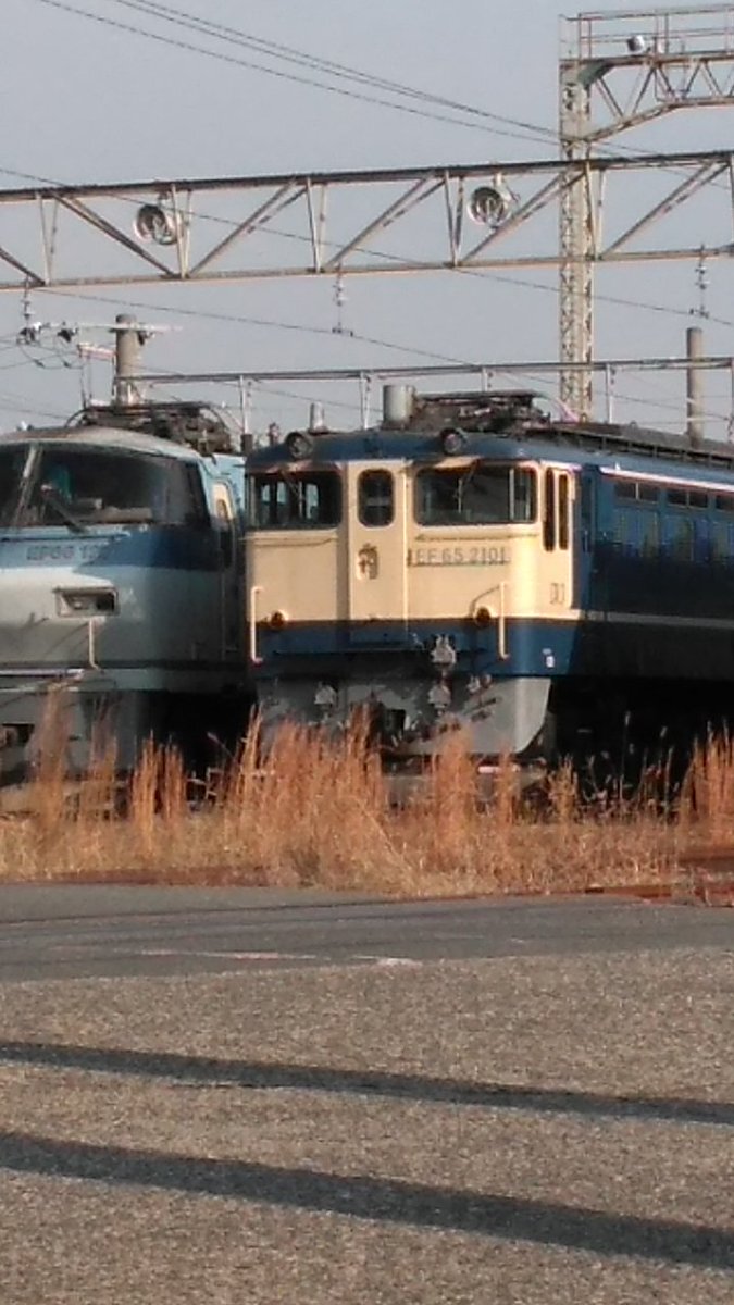 とるてです。 快適な履き心地のミドルタイプセーフティーシューズ。安全靴 ミドル