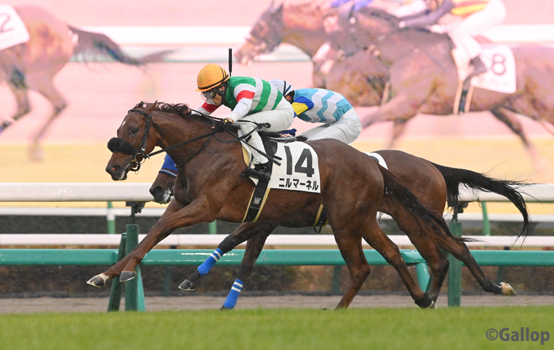 ニルマーネル、中山競馬で圧勝！キャロットファン歓喜
