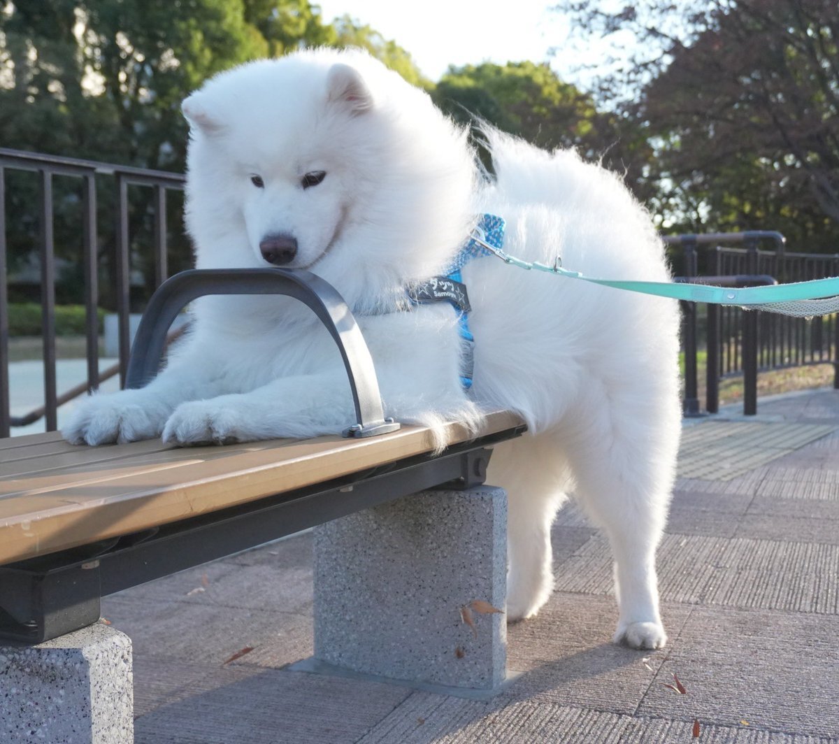 カンミン 上海」のYahoo!リアルタイム検索 - X（旧Twitter）を