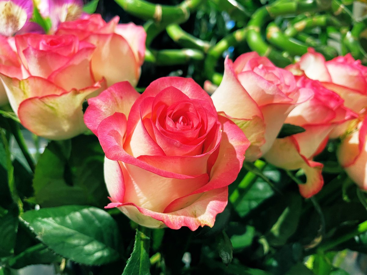 水曜日のSNSトレンド：満月と疲れの声