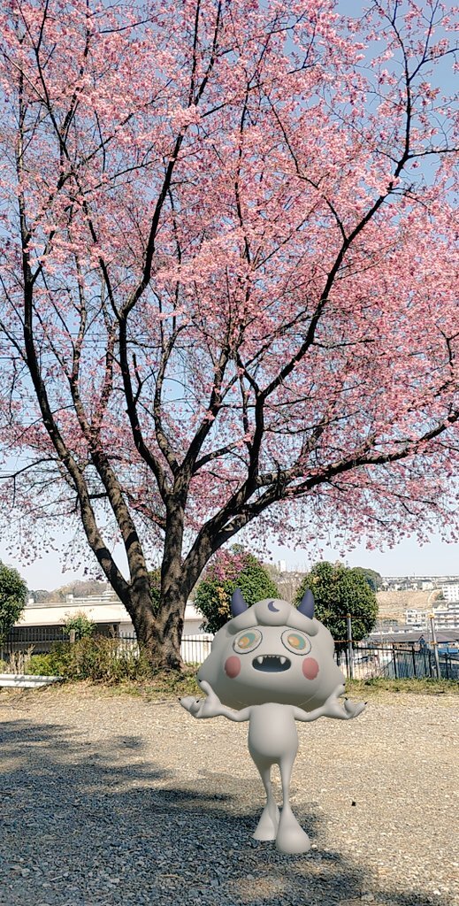 「自然界隈」って一体どんな場所？