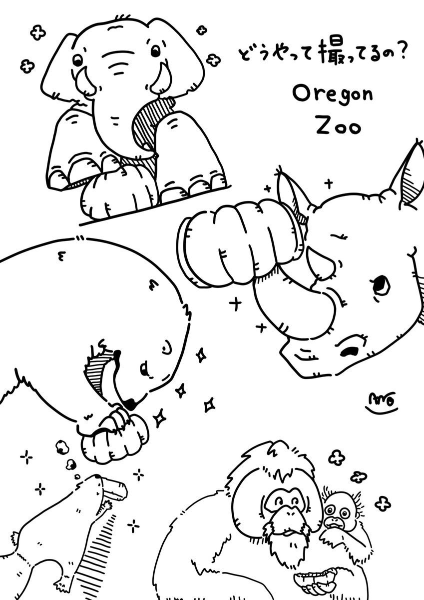 死んでる象 世界に20頭！巨大な牙を持つ幻のゾウを追う!!『クレイジー