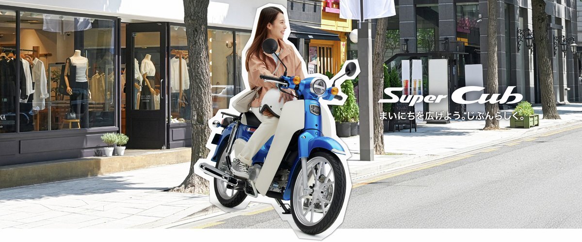 くまモン⭐️値下げ中 楽天市場】くまモン/ハイマッキー/ゼブラ/油性マーカー/角芯太字