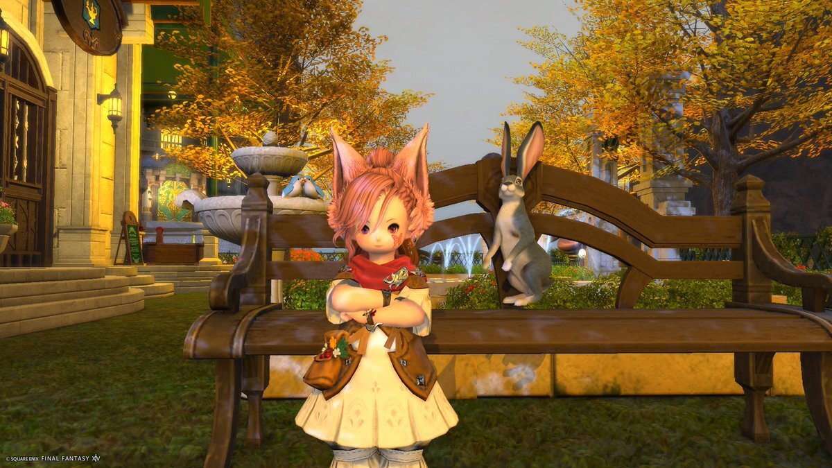 早朝目覚め体験！Twitterで睡眠の話題が盛り上がり