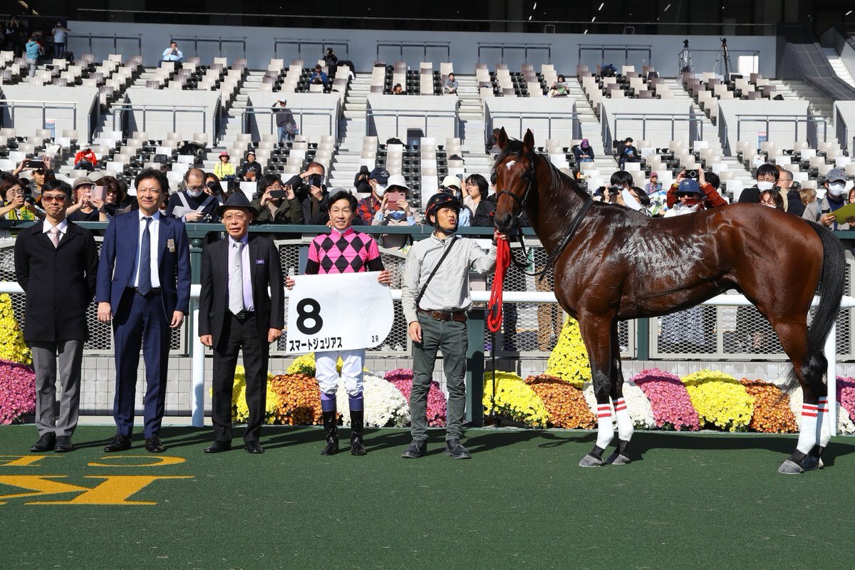 スマートジュリアス、初勝利で競馬ファンを沸かせた！