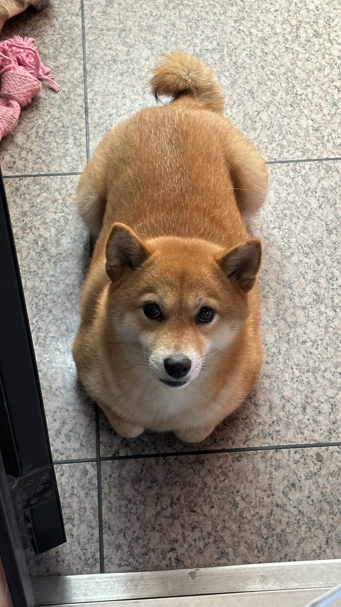 確認٩(ˊᗜˋ*)و୨୧⑅*. s向け」のYahoo!リアルタイム検索 - X（旧Twitter）をリアルタイム検索