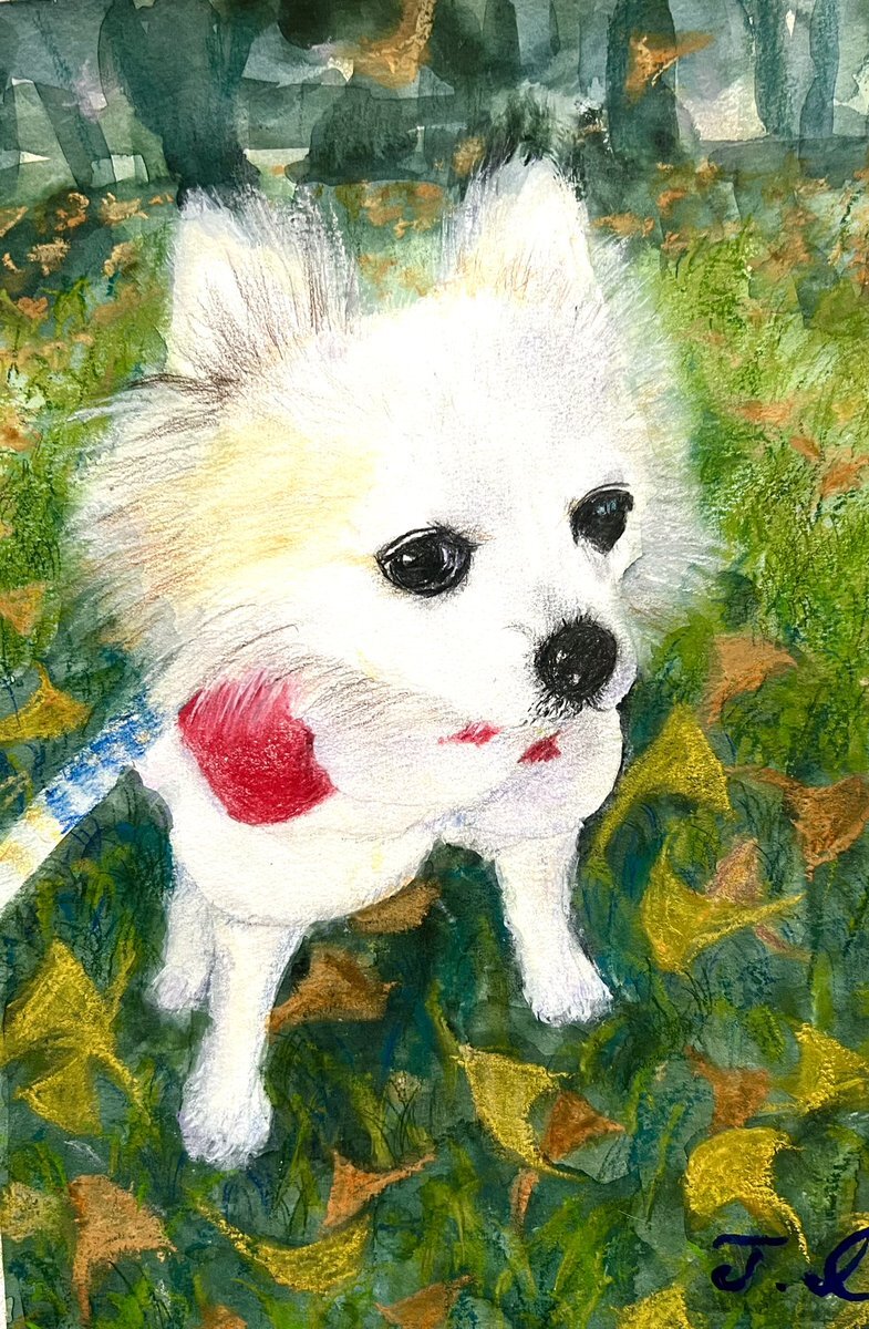 熊本県で地震発生　SNSで安否確認の声