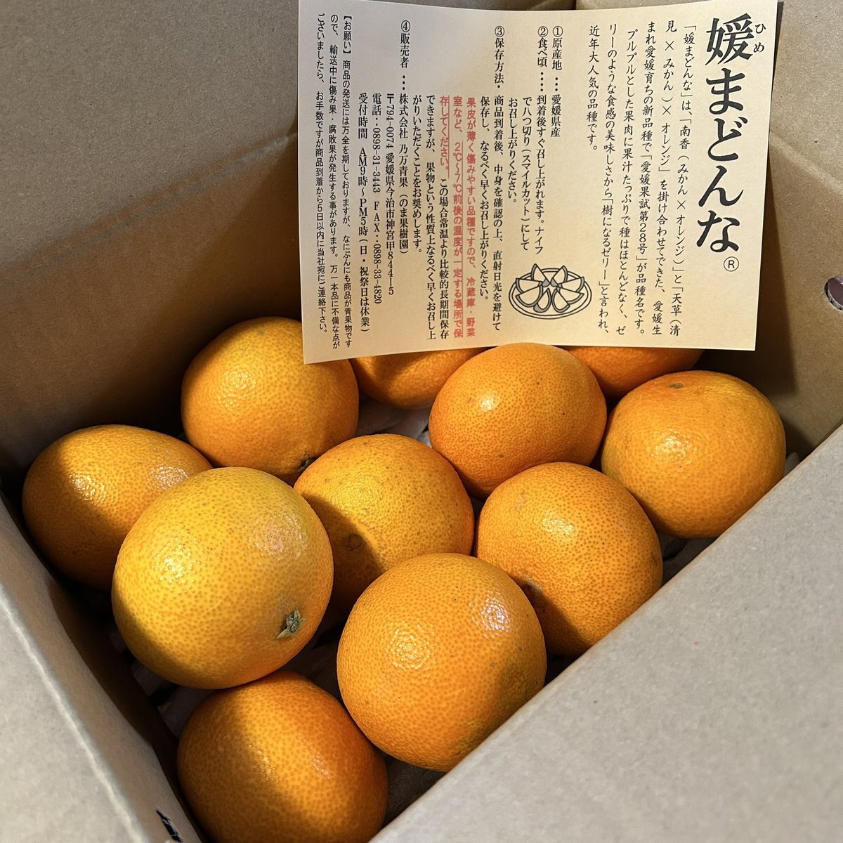 ドンデコルテ「果樹園」がM-1で話題に！ 独特なキャラクターにファン大興奮！