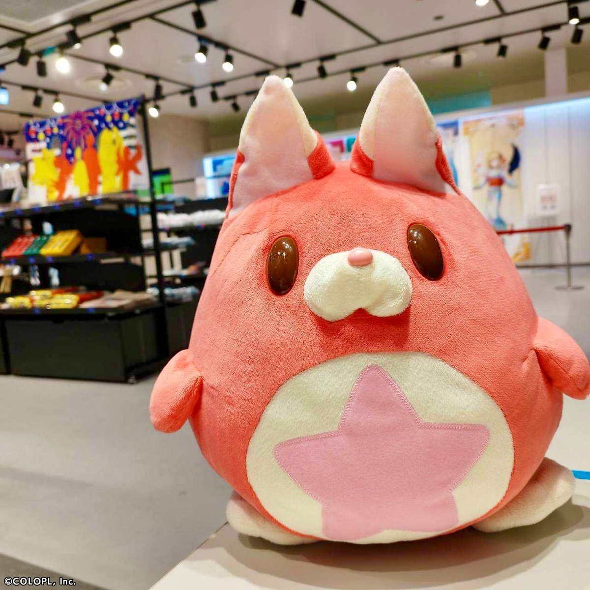 感謝価格(‗- ·̫ -‗^)ꪆ  ❤︎猫ちゃんと一緒に…白猫 公式】白猫プロジェクト NEW WORLD'S (@wcat_project) / X