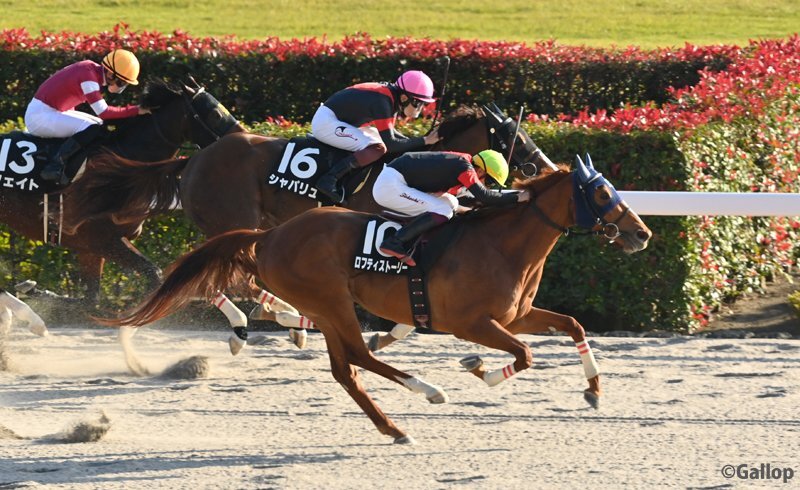 ロフティストーリーが三浦特別を制覇！ 