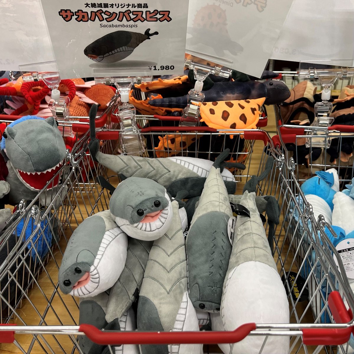 大絶滅展 ぬいぐるみ」のYahoo!リアルタイム検索 - X（旧Twitter）を