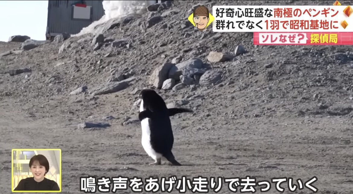 スプラッシュ・メイジ禁止！遊戯王OCG新制限に賛否両論