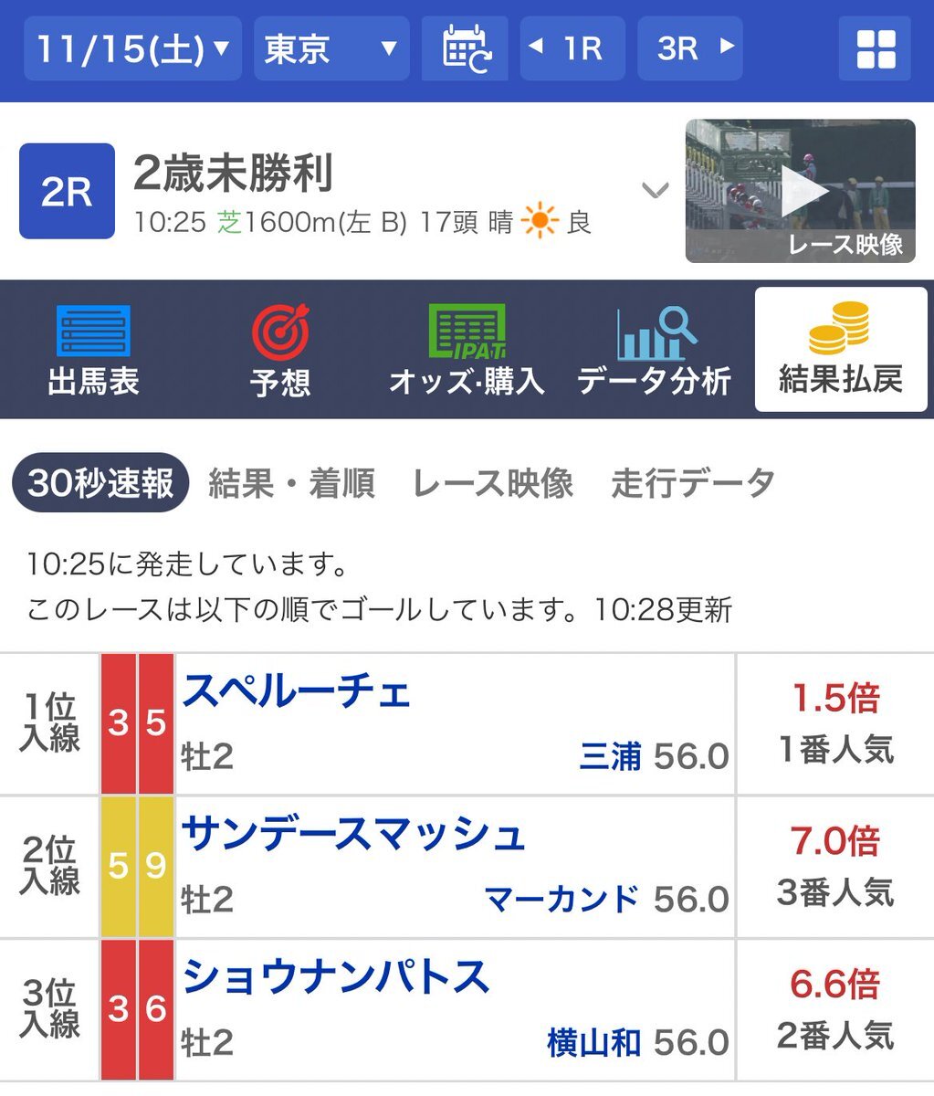 ショウナンパトス、東京競馬で3着！期待は高まるか？