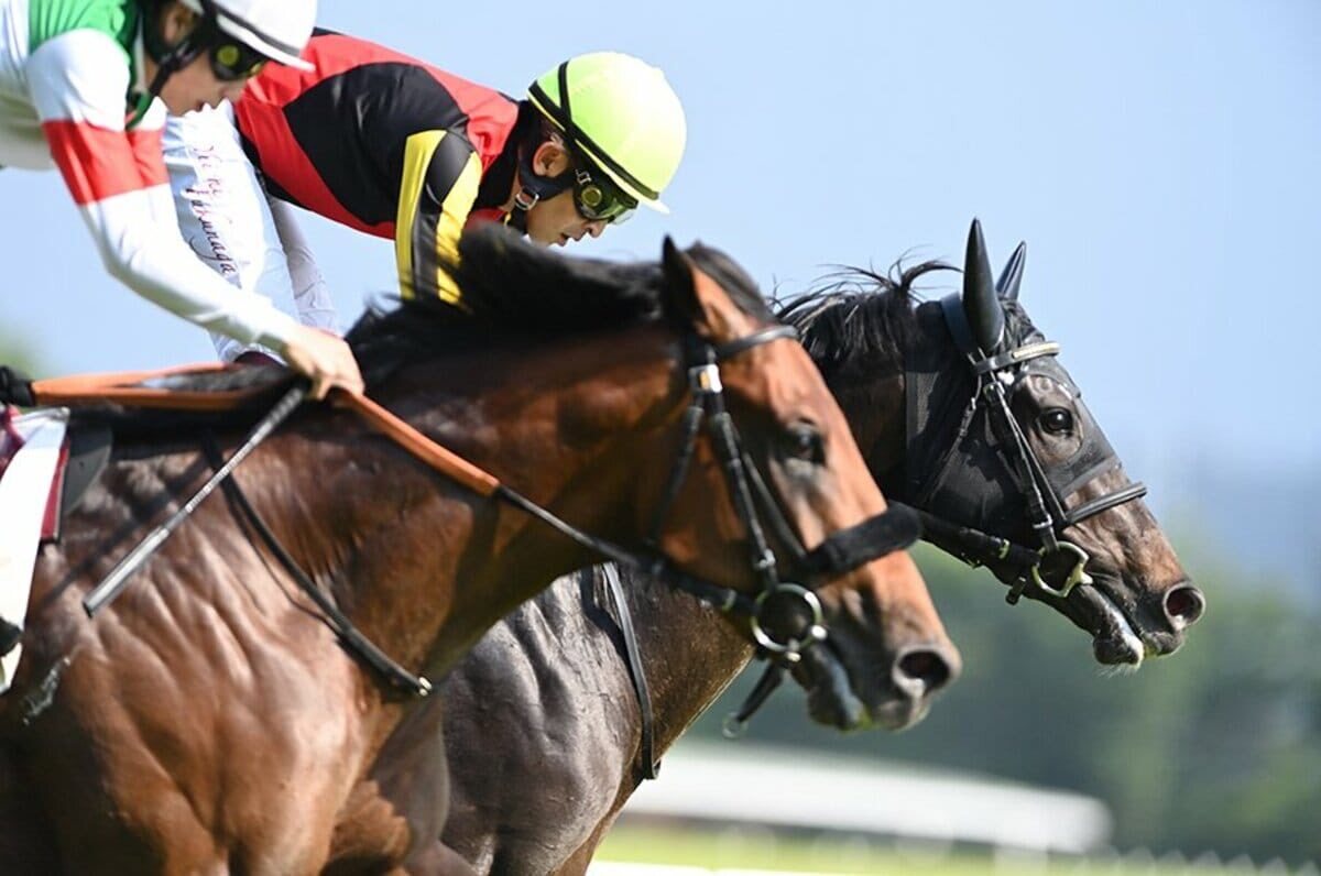 ドラマ「ロイヤルファミリー」でダービーの名台詞が使われた！