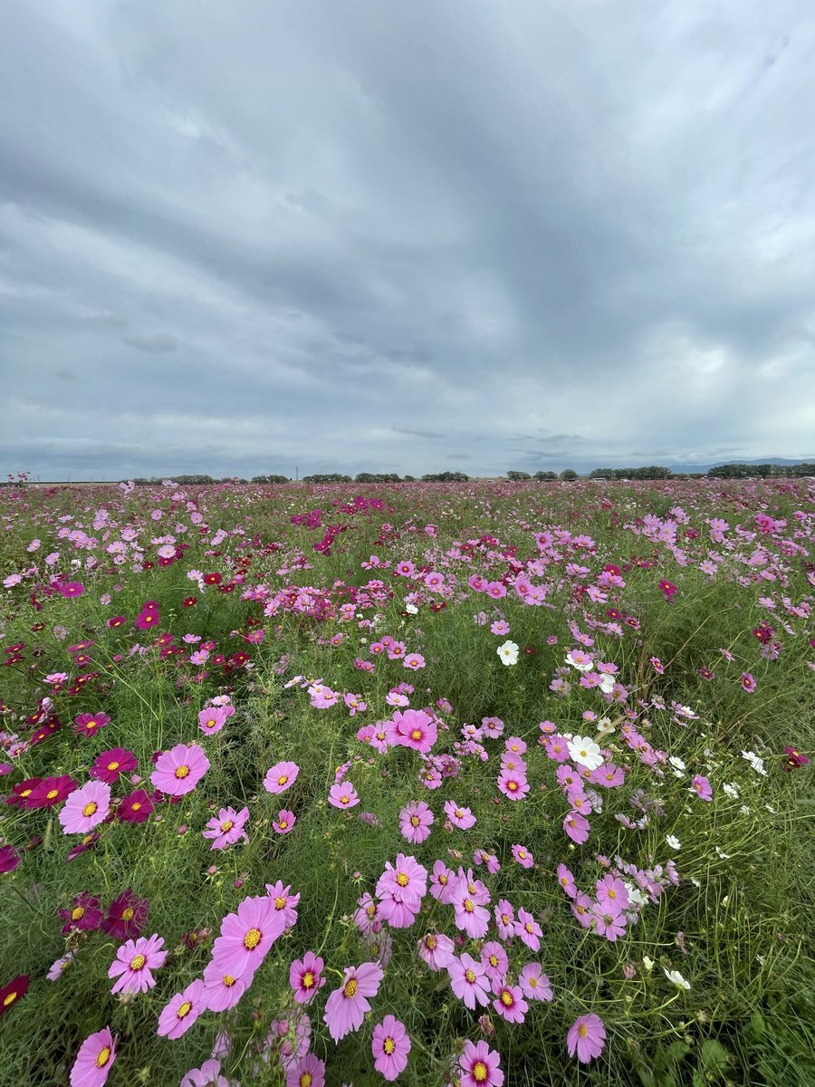 X（旧Twitter）で話題のおもしろ画像や動画 - Yahoo