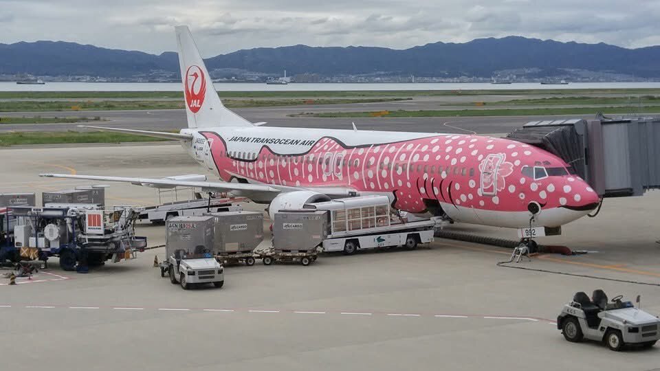 JAL日本トラスト オーシャン航空 機材情報 | JTA日本トランスオーシャン航空