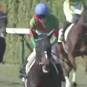 グレースジェンヌ、新馬戦で圧勝！その活躍は？