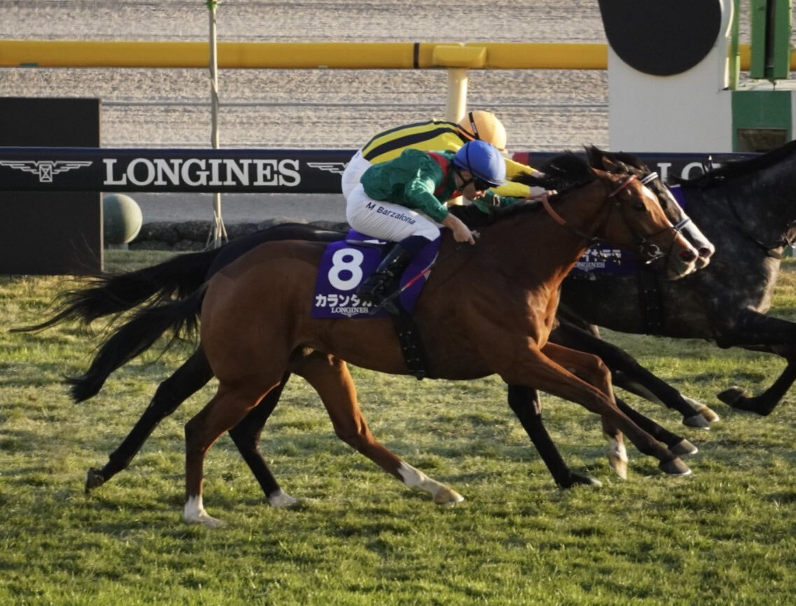 カランダガン、ジャパンカップでコースレコード！ホーリックス以来の快挙に興奮