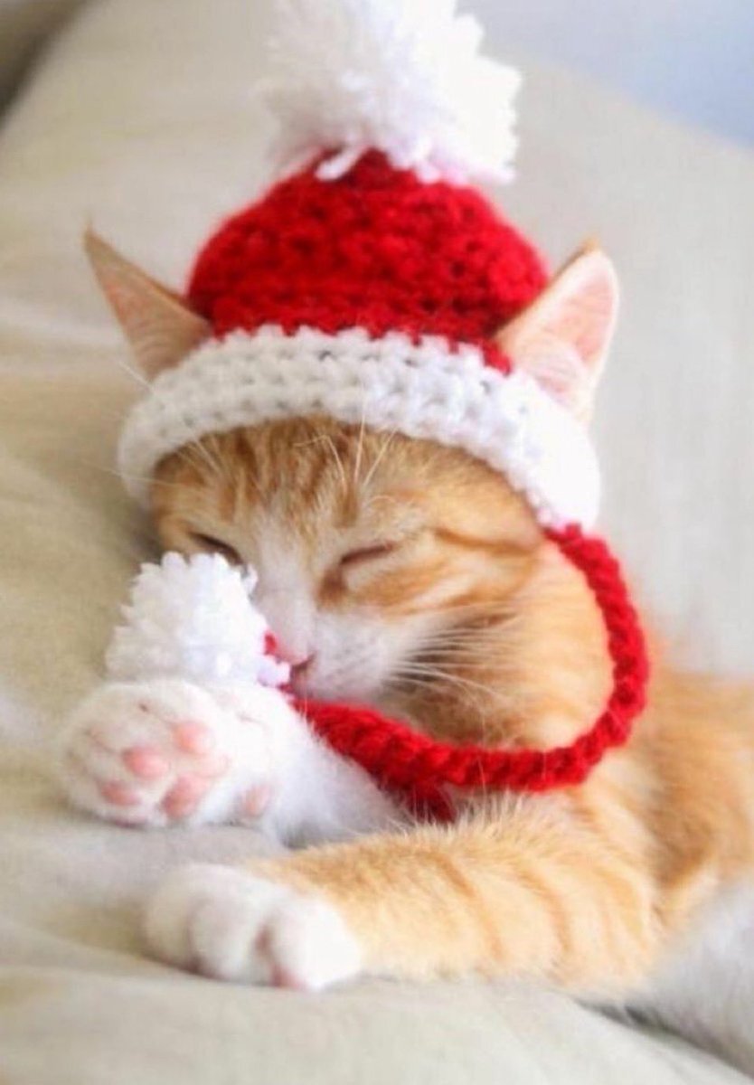 雨の話題で盛り上がる Twitter  