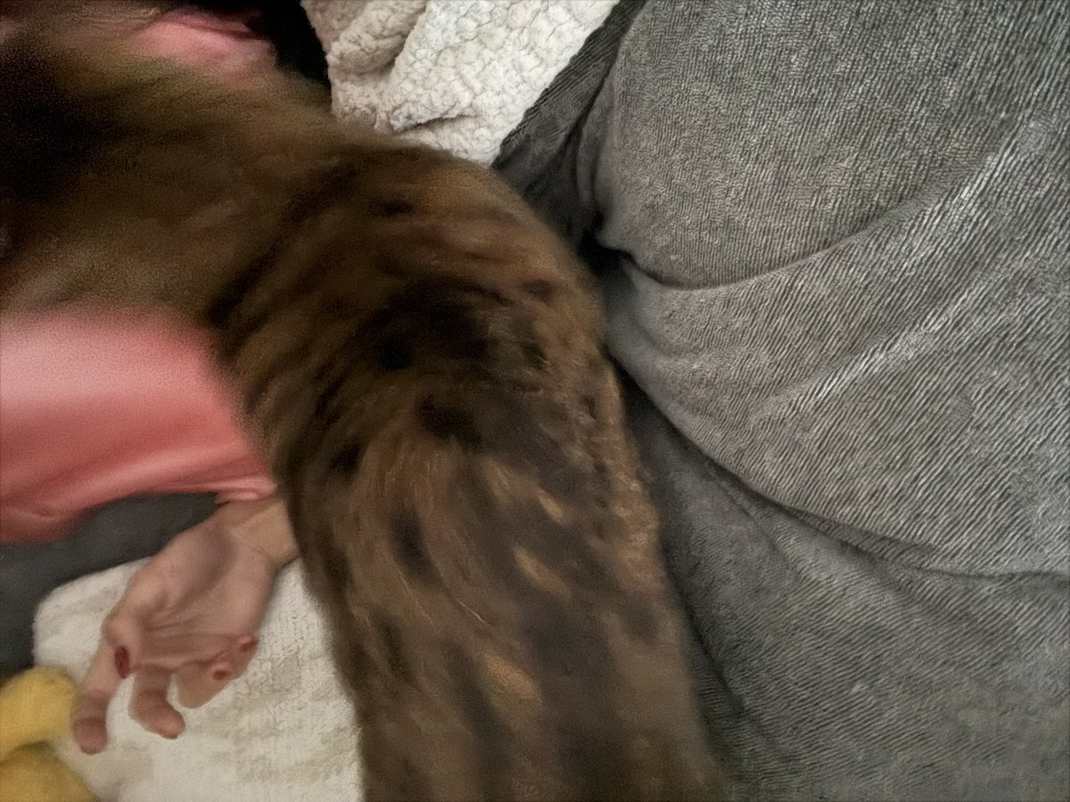 「起き上がれない」 多くの投稿者が体調不良を訴える