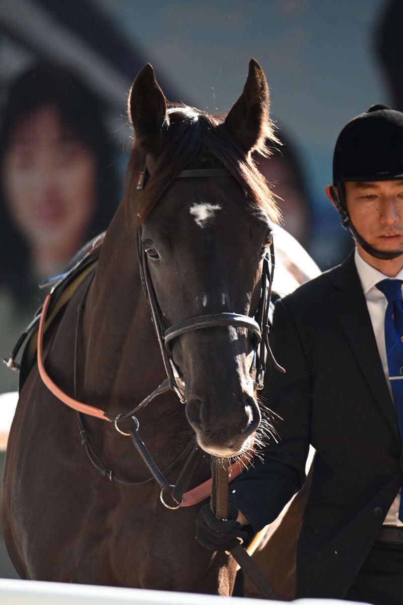 ベレシート、エリカ賞2着！ゲートの課題は克服できるか