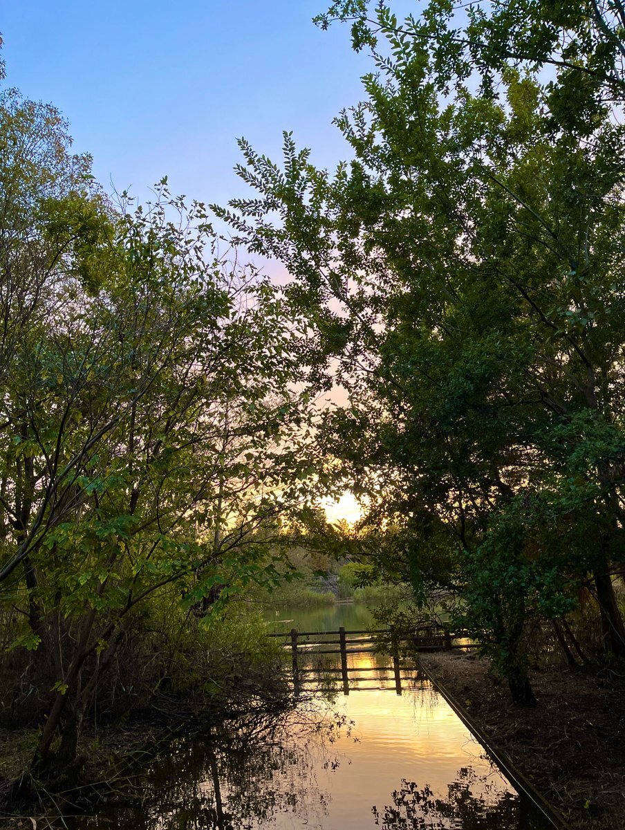 今日の天気は雨？ SNSで話題に