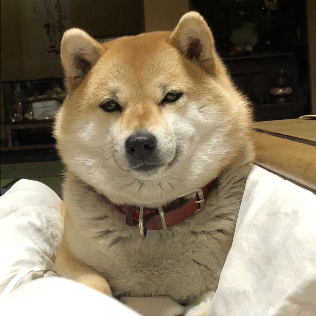 きなこ」のYahoo!リアルタイム検索 - X（旧Twitter）をリアルタイム検索