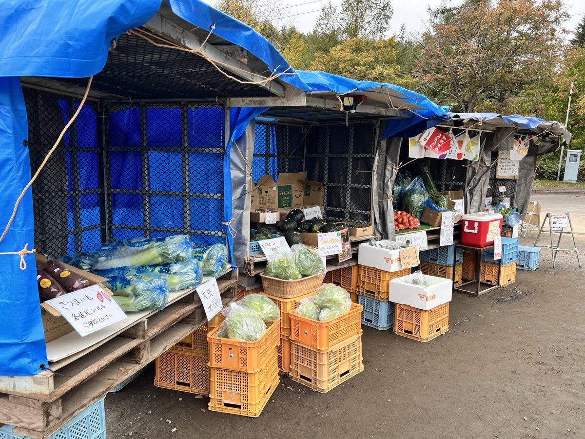 イヌリン坊や 様 楽天市場】イヌリン 2kg 【食後の 血糖値 や 便秘 が気になる方