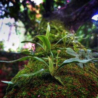 SNSユーザーが語る日常と妄想：倒れ込む瞬間の多様な感情