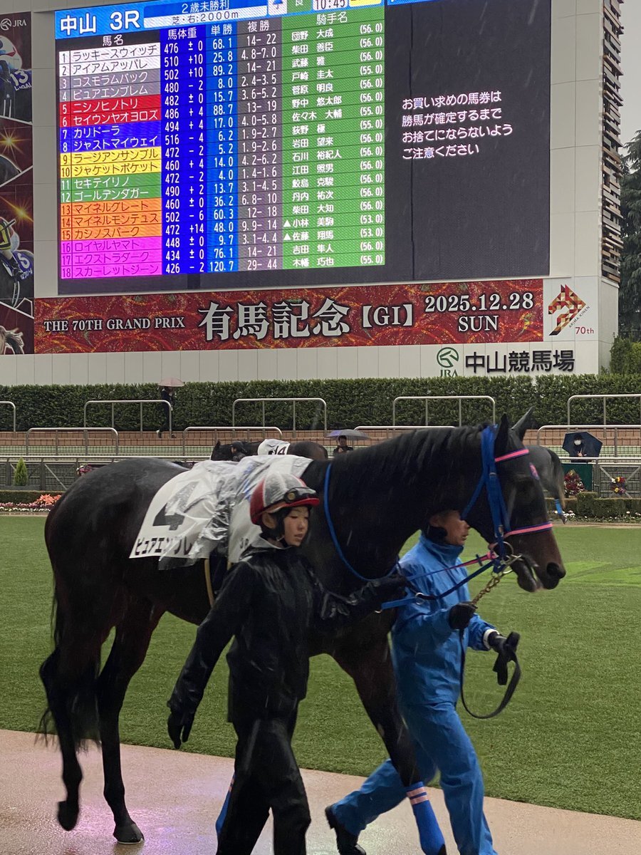 ピュアエンブレム、中山3Rで15着前後？