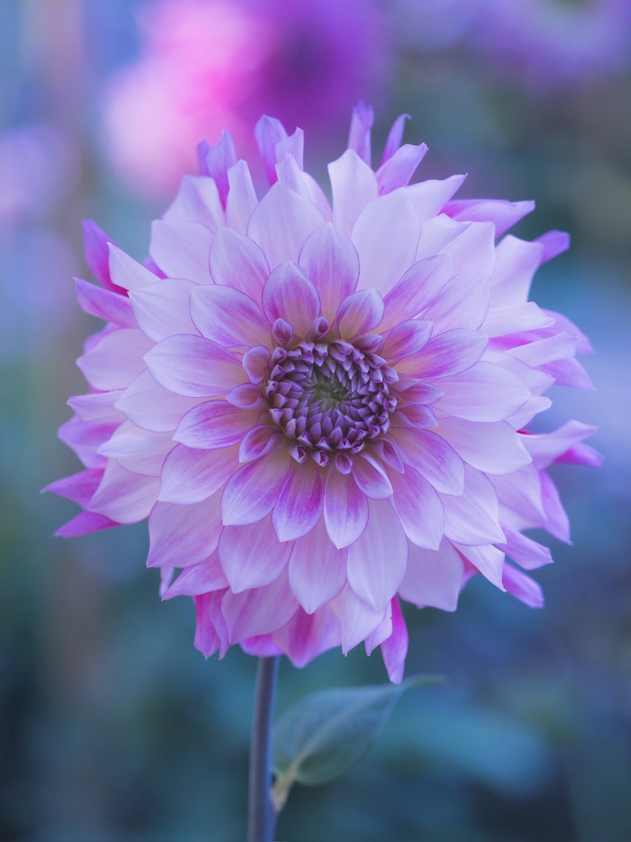 ♡ 彦星」のYahoo!リアルタイム検索 - X（旧Twitter）をリアルタイム検索