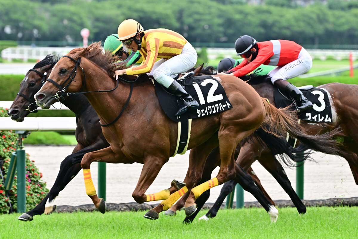 京都競馬！アンドロメダSで予想外の展開に！