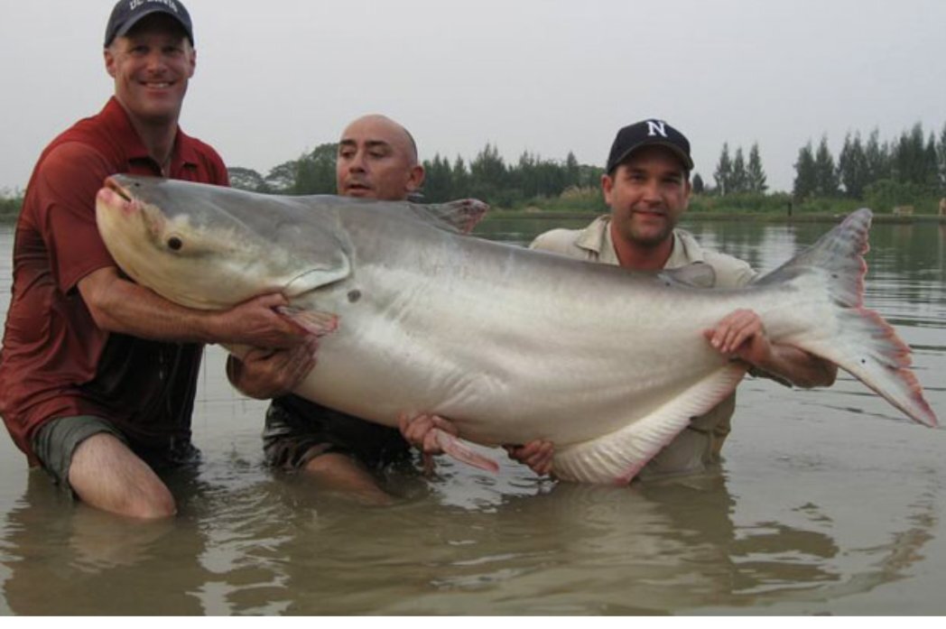 TAGラジ、グループ名に「パンガシウス」決定！ファンは「面白すぎる」と反応