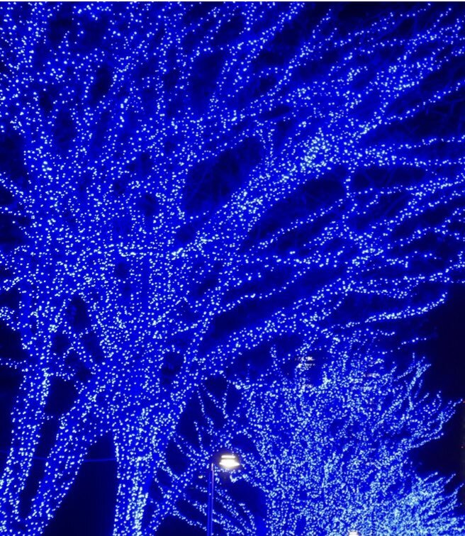 きっしゃん、読売ジャイアンツ新主将に！ファンから期待の声