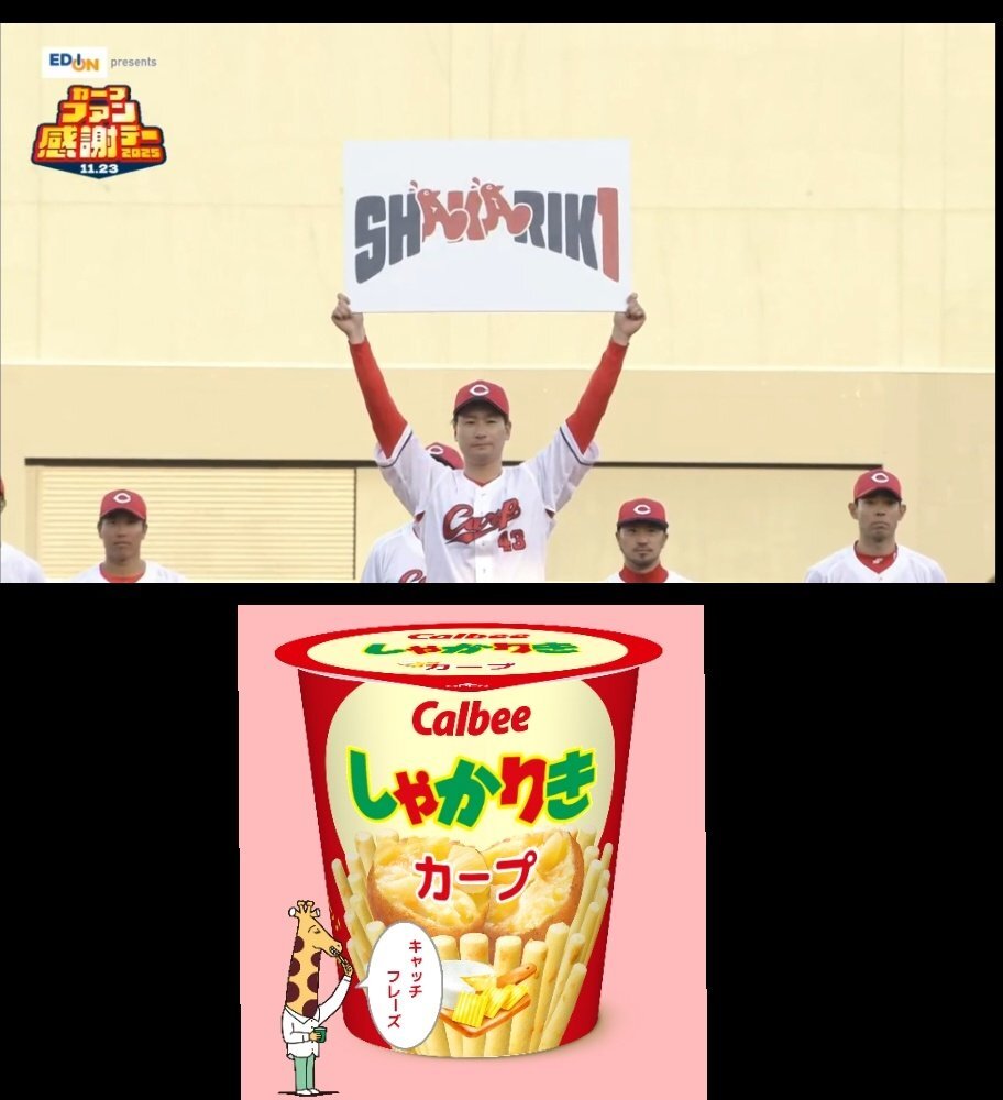 広島カープ、2026年キャッチフレーズは「しゃかりき」に決定！ファン歓喜