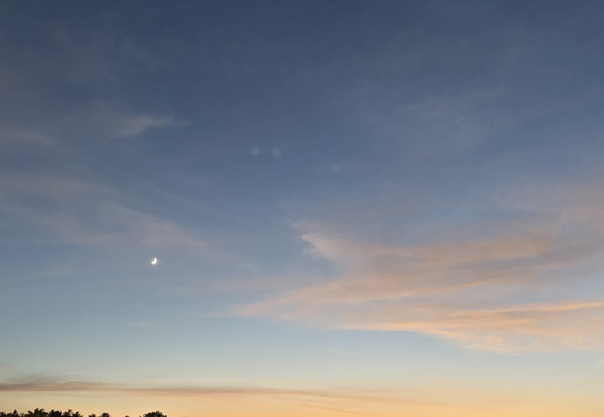 鶴崎仁香、ブログで日向坂46への意気込みを語る！ファンは「応援してる！」と励ます