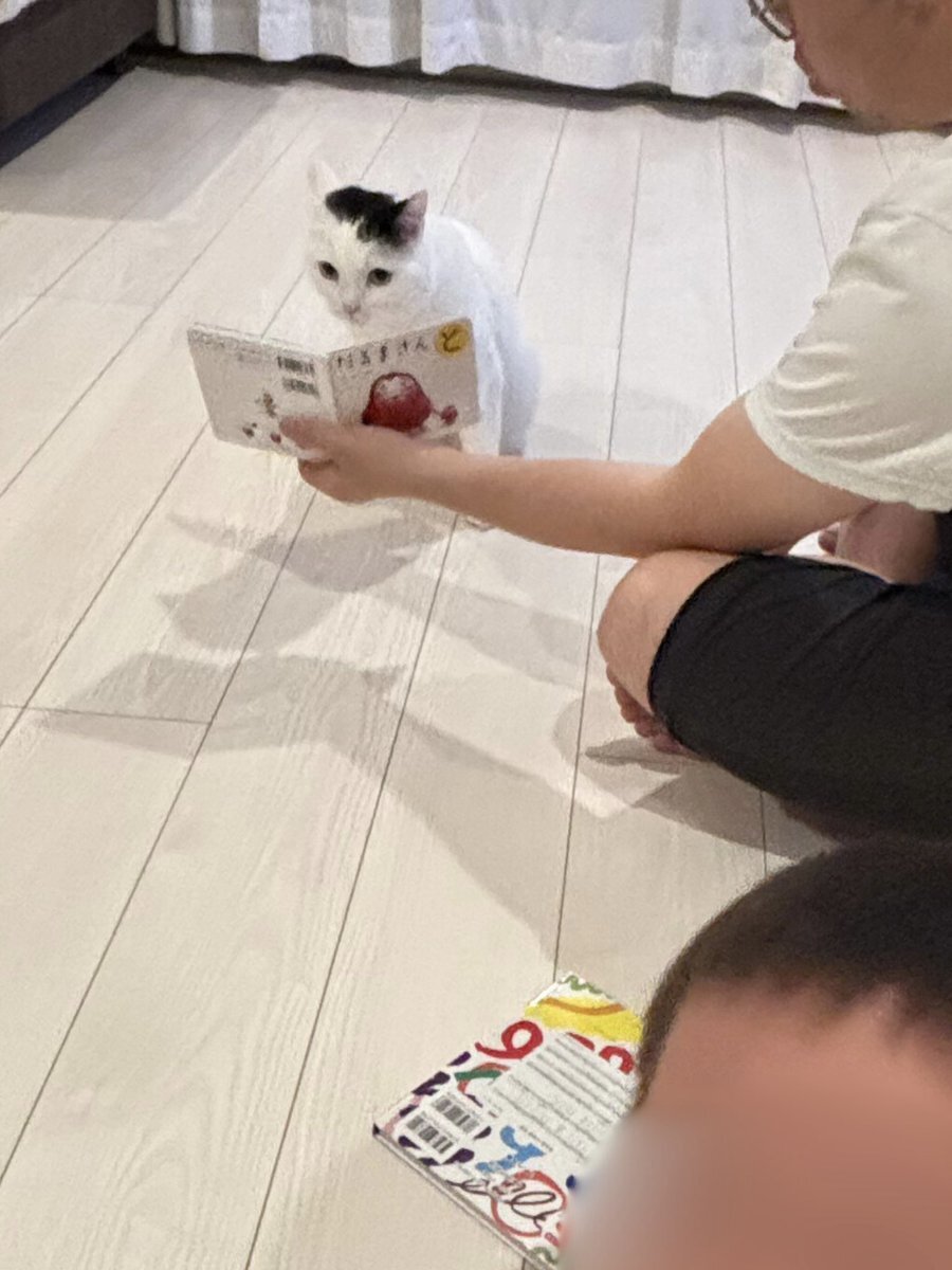 tokyohot 258 天然温泉 石手の湯 ドーミーイン松山松山市、3*(日本) - JP¥11787から | BOOKED