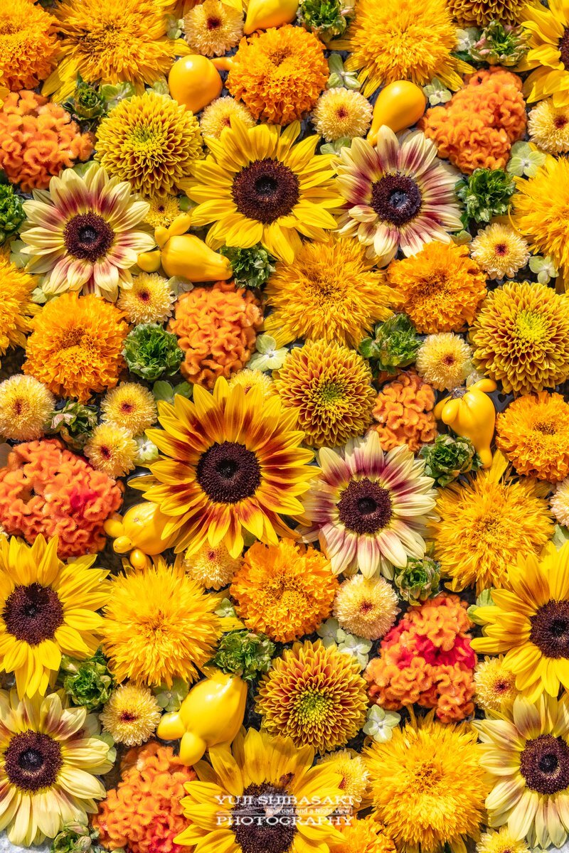 ヒマワリ しまなみ海道 通行止め」のYahoo!リアルタイム検索 - X（旧