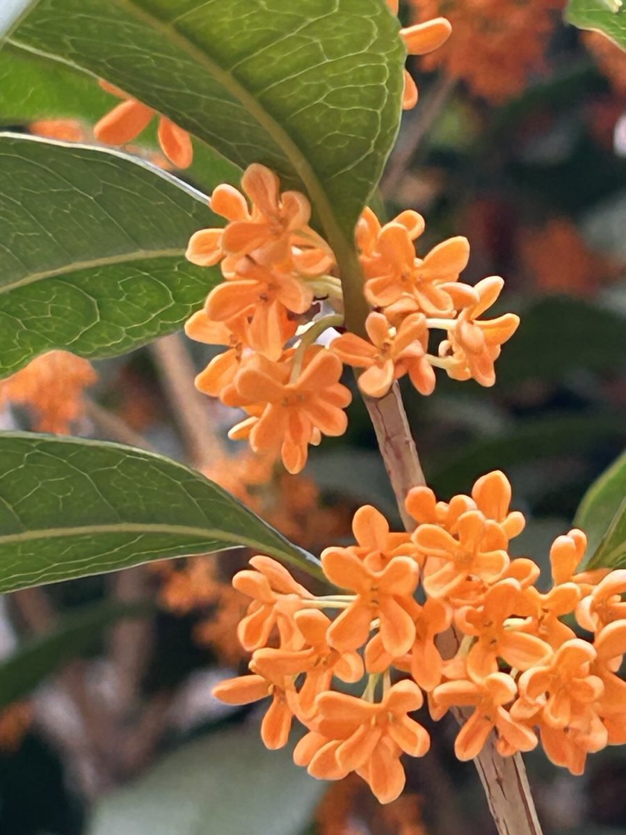 週末の天気予報、皆さんはどんな週末を過ごしますか？