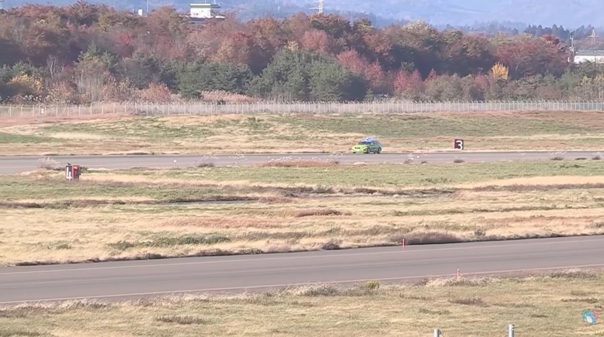 花巻空港、クマ出没で滑走路閉鎖