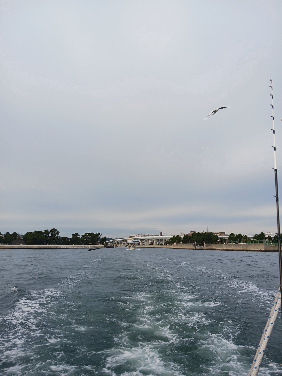 水曜日はどんな一日？