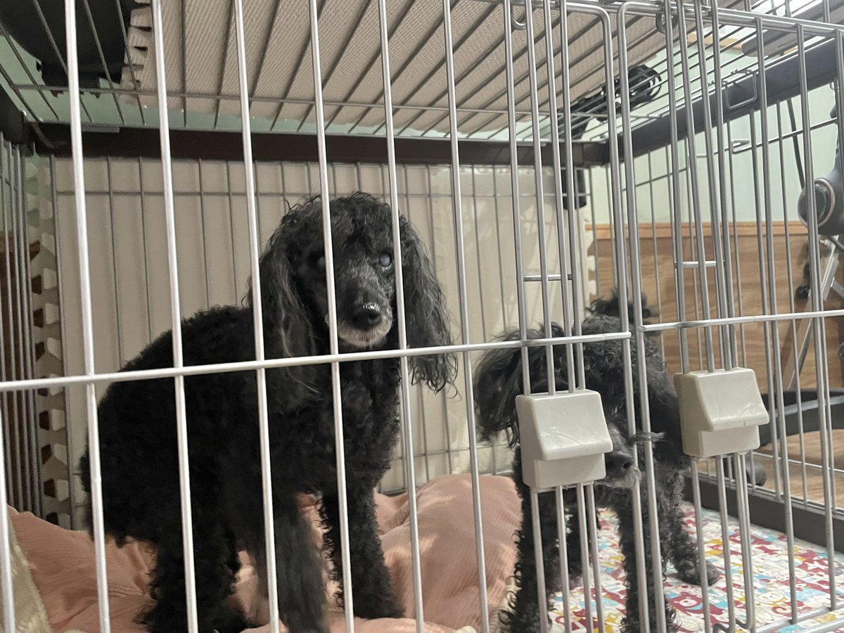 地震警報鳴動、各地で地震発生　投稿者らの安全確保の様子