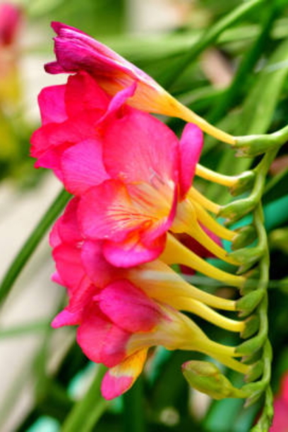 ライト兄弟の初飛行を記念！「飛行機の日」に感謝の声